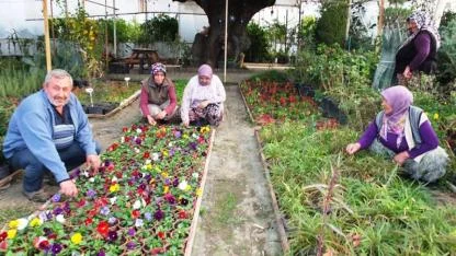 Burhaniye de makine mühendisi örnek çiçekçi oldu