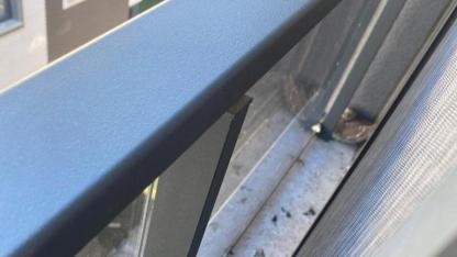 Edremit'te baykuşu itfaiyeciler kurtardı