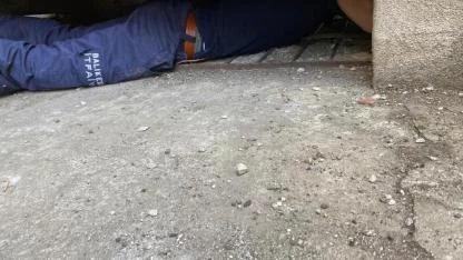 Susurluk’ta yavru köpeği annesine itfaiye ekipleri kavuşturdu