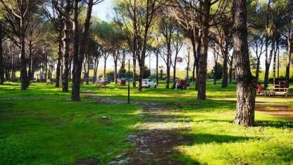 Altınova Mesire Alanı Hizmete Açıldı