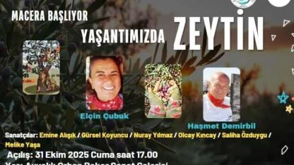 Ayvalık'ta  Zeytin Hikayesi