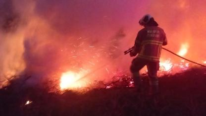 Balıkesir’in Savaştepe İlçesinde Orman Yangını