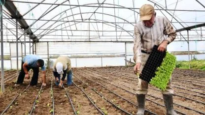 Büyükşehir desteğiyle topraklar bereketlendi