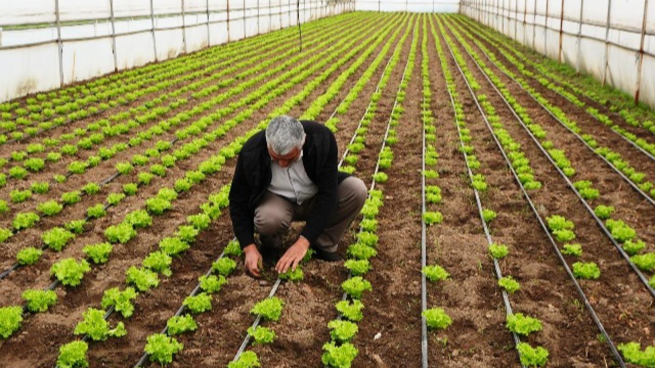 Büyükşehir desteğiyle topraklar bereketlendi