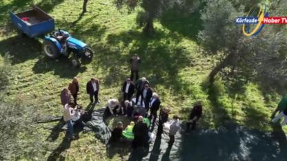 Edremit Belediye Başkanı Ertaş, emekçilerle zeytin topladı