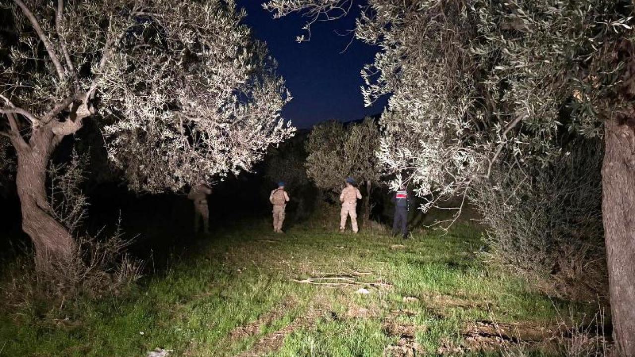 Edremit’te zeytin hırsızlığına karşı jandarma ve komandolar 24 saat nöbette