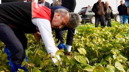 Her Tanesinde 250 Yıllık Bir Hikaye Gizli