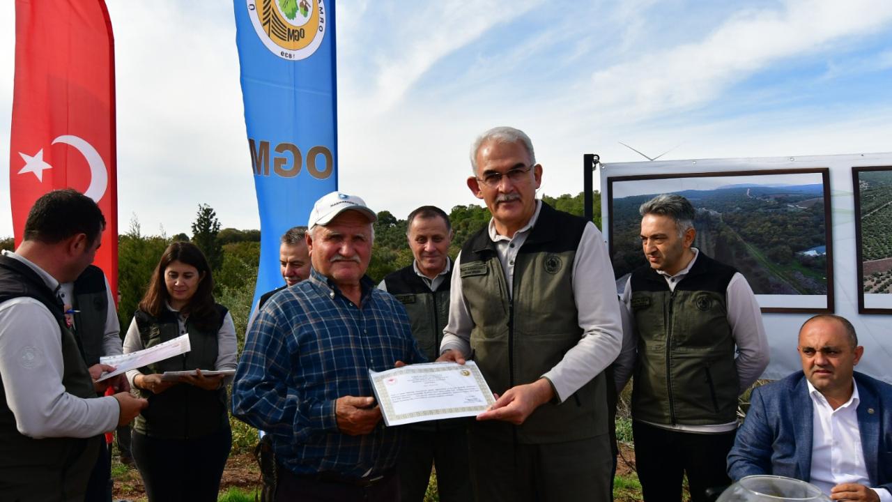 Orman Genel Müdürü Bekir Karacabey, Bandırma&#039;da zeytin hasadı yaptı