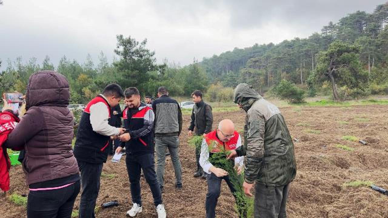 Dursunbey ve Sındırgı’da Doğa İçin El Ele