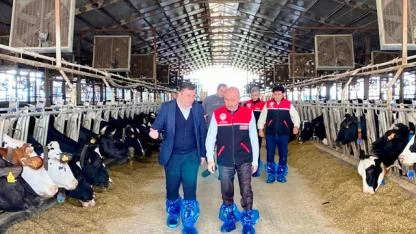 Balıkesir’de Şap Aşılama Çalışmalarıyla Sürü Sağlığı Güçlendiriliyor