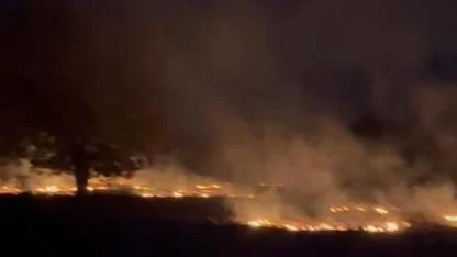 İvrindi'de arazi yangını