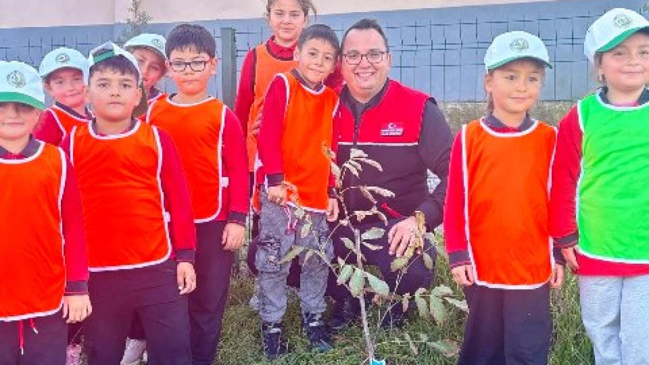 Sevdamız Yeşil Vatan: Kobaklar’da Ağaç Dikim Etkinliği Gerçekleştirildi