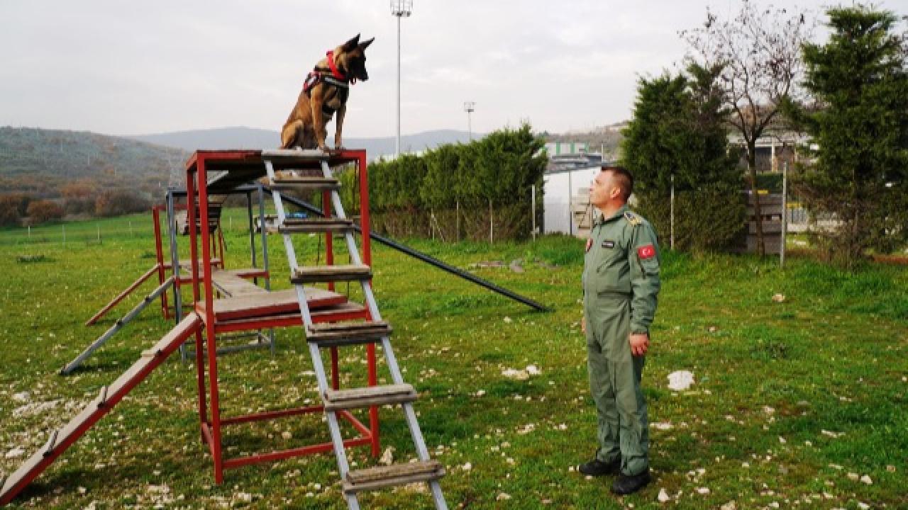 Balıkesir İtfaiyesi’nin İda’sı hayat kurtaracak