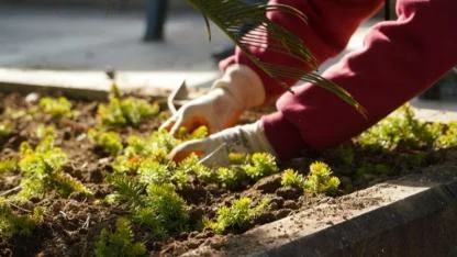 Edremit park ve yeşil alanları ile nefes alıyor....