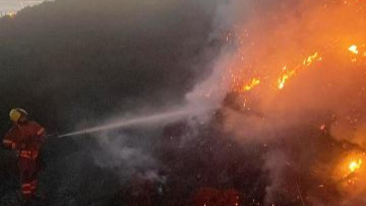 Marmara’da arazi yangını