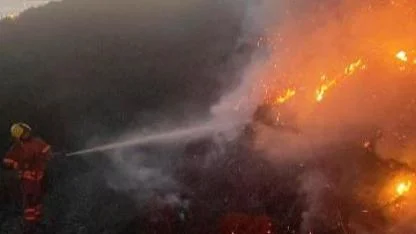 Marmara’da arazi yangını