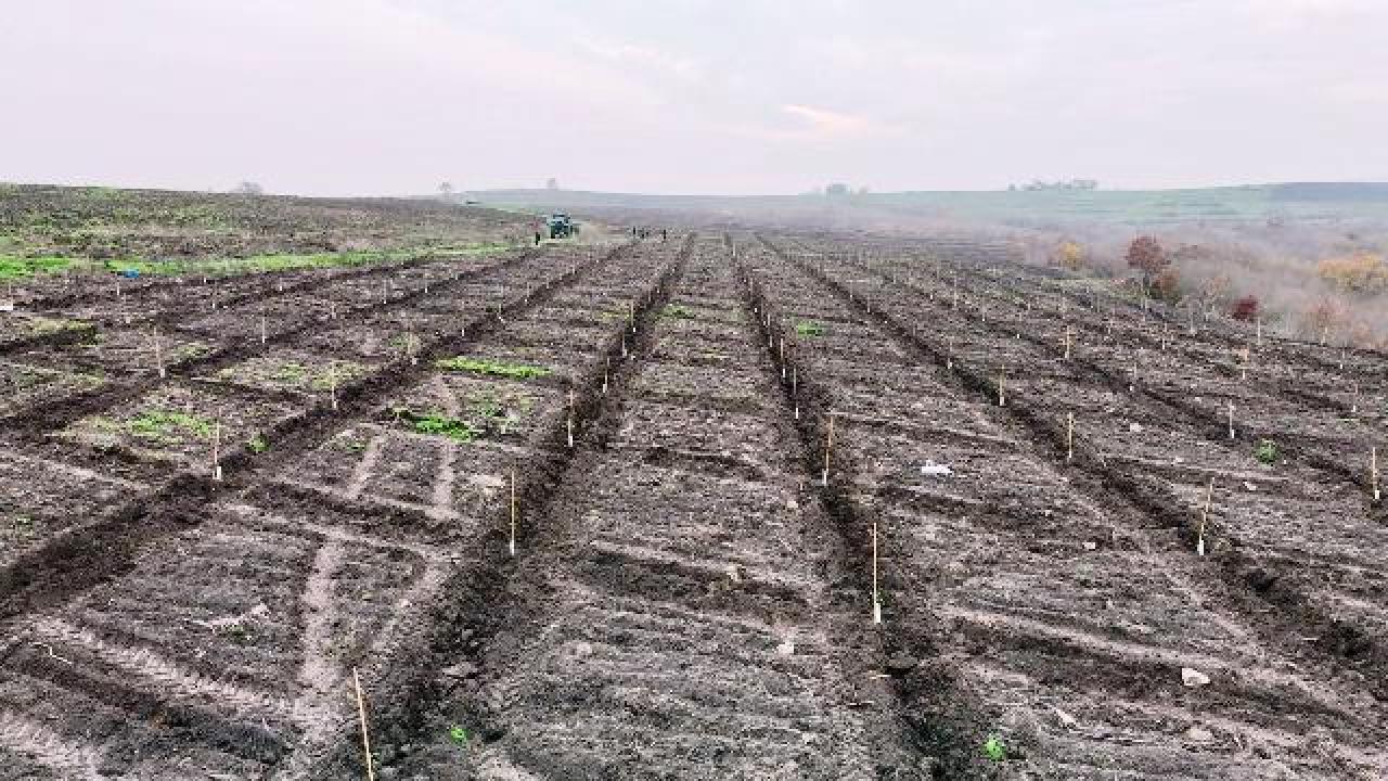 Orman köylüsünün yüzü gülüyor....