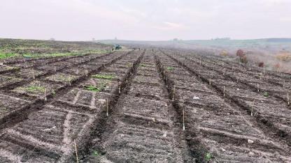 Orman köylüsünün yüzü gülüyor....