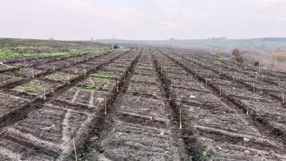 Orman köylüsünün yüzü gülüyor....