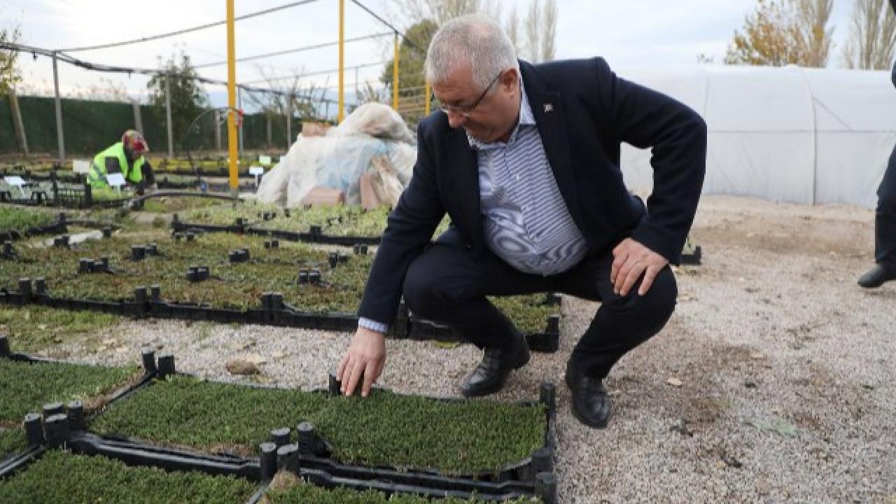 Edremit Belediyesi'nden İklime Dirençli Adım