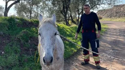 Ayvalık’ta İtfaiyeden At Kurtarma Operasyonu