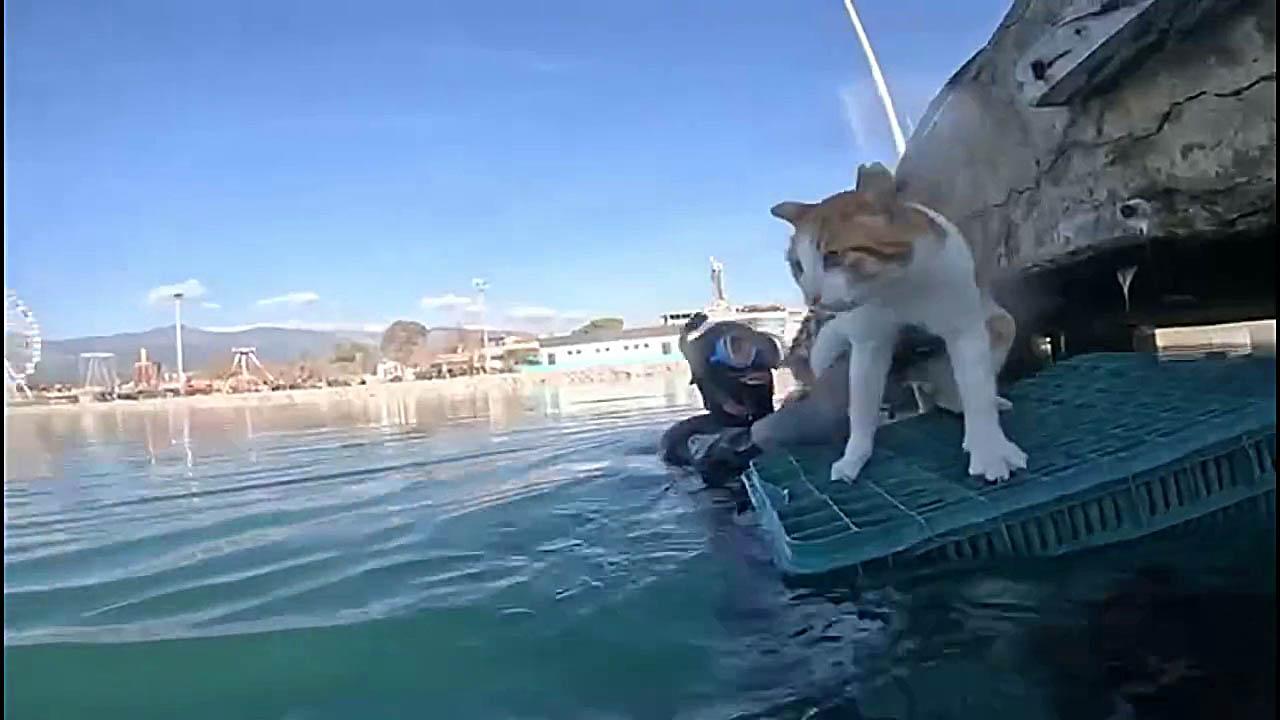 Balık adamları bu kez Akçay’da bakın kimi kurtardı!