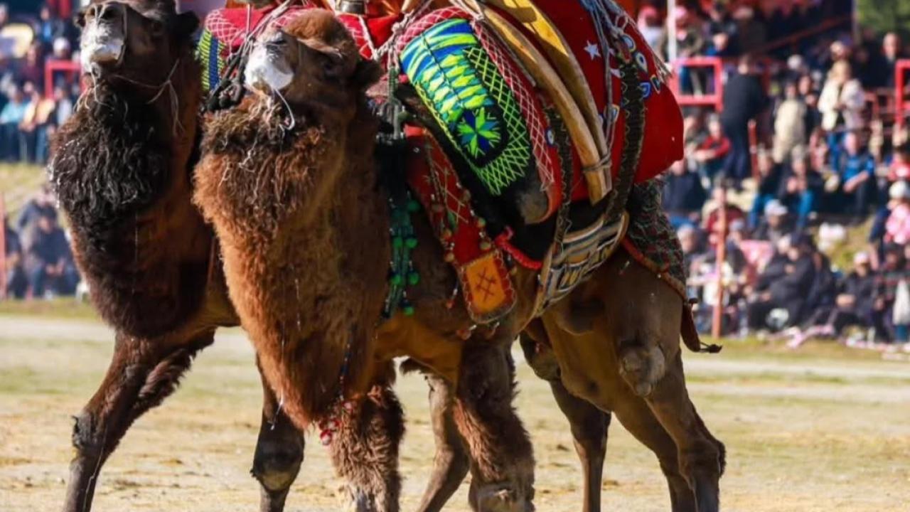 Burhaniye de Deveciler Basın Açıklaması yapacak