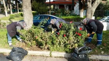 Burhaniye’de Saha Çalışmaları Aralıksız Sürüyor