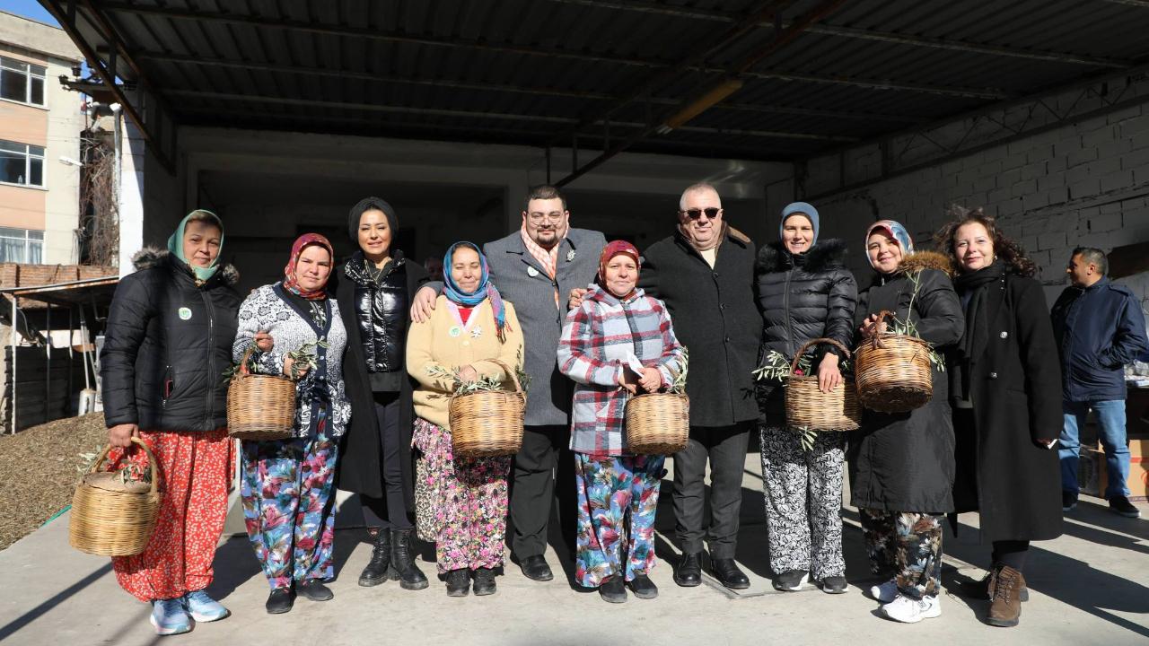 Edremit’te zeytin hasadı 'Meci Şenliği' ile sona erdi: Zeytin kokusu sokaklara yayıldı