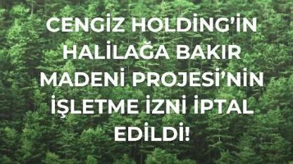 Halilağa Bakır Madeni’ne Yargı Freni: İşletme İzni İptal Edildi