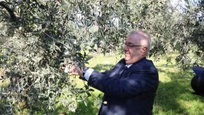 Zeytinin Başkenti Edremit’te MECİ Şenliği başlıyor