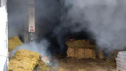 Bandırma’da çiftlikte yangın