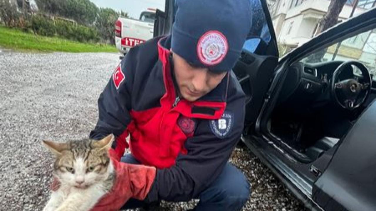 Burhaniye’de Araç İçinde Mahsur Kalan Kedi Kurtarıldı