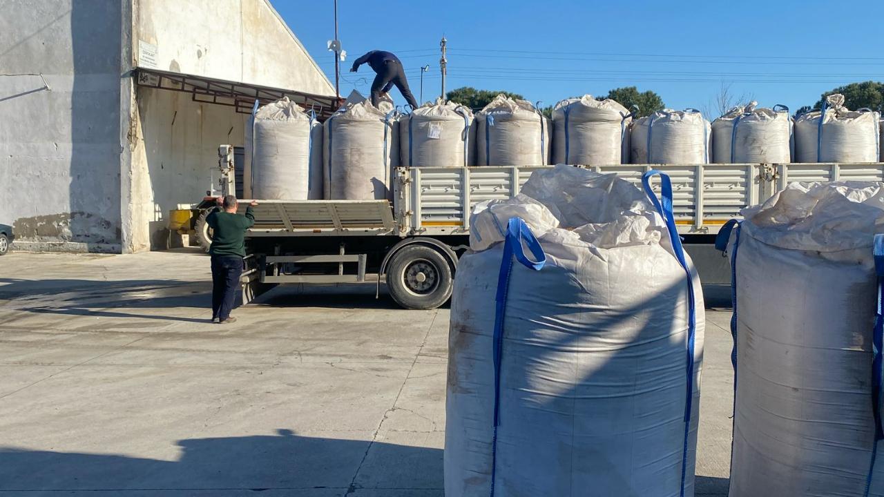 Burhaniye’de zeytin çekirdekleri Yunanistan’a ihraç ediliyor