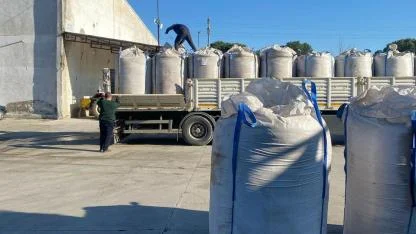 Burhaniye’de zeytin çekirdekleri Yunanistan’a ihraç ediliyor