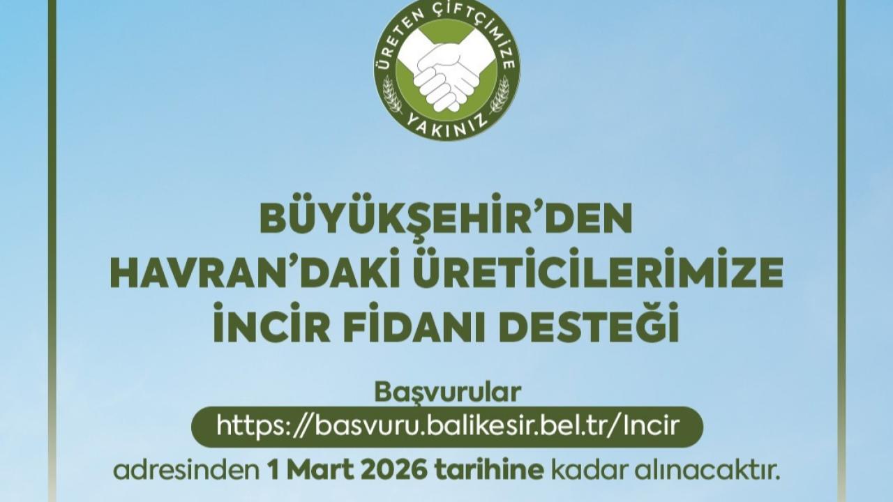 Büyükşehir, incir fidanı dağıtımına başlıyor