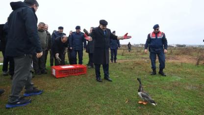 Kuşcenneti Milli Parkı’nda Yaban Hayvanları Doğaya Salındı