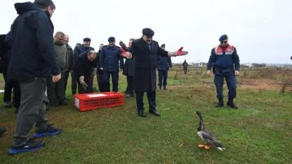 Kuşcenneti Milli Parkı’nda Yaban Hayvanları Doğaya Salındı