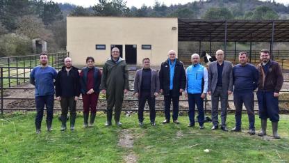 Akademik yavru kuzular anneleriyle buluştu