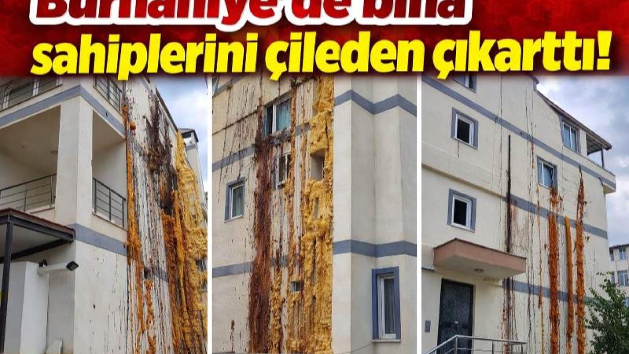 Apartmandan köpük fışkırıyor! “Bu çile bitsin” diyerek yetkili arıyorlar