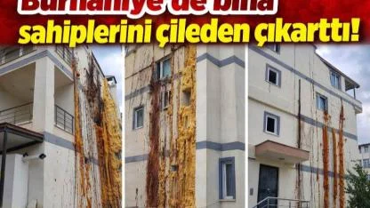 Apartmandan köpük fışkırıyor! “Bu çile bitsin” diyerek yetkili arıyorlar
