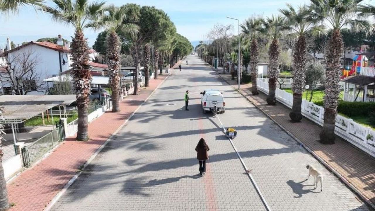 BALDEP Projesi Altınova Sahili’nde Sürüyor