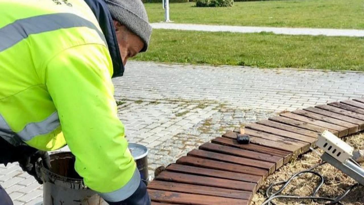 Burhaniye Belediyesi’nden yeşil alanlarda titiz çalışma