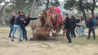 Burhaniye’de antrenman güreşleri gerçeğini aratmadı