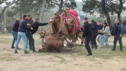 Burhaniye’de antrenman güreşleri gerçeğini aratmadı