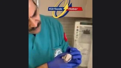 Burhaniye’de Bulunan Porsuk Yavrusu Koruma Altına Alındı