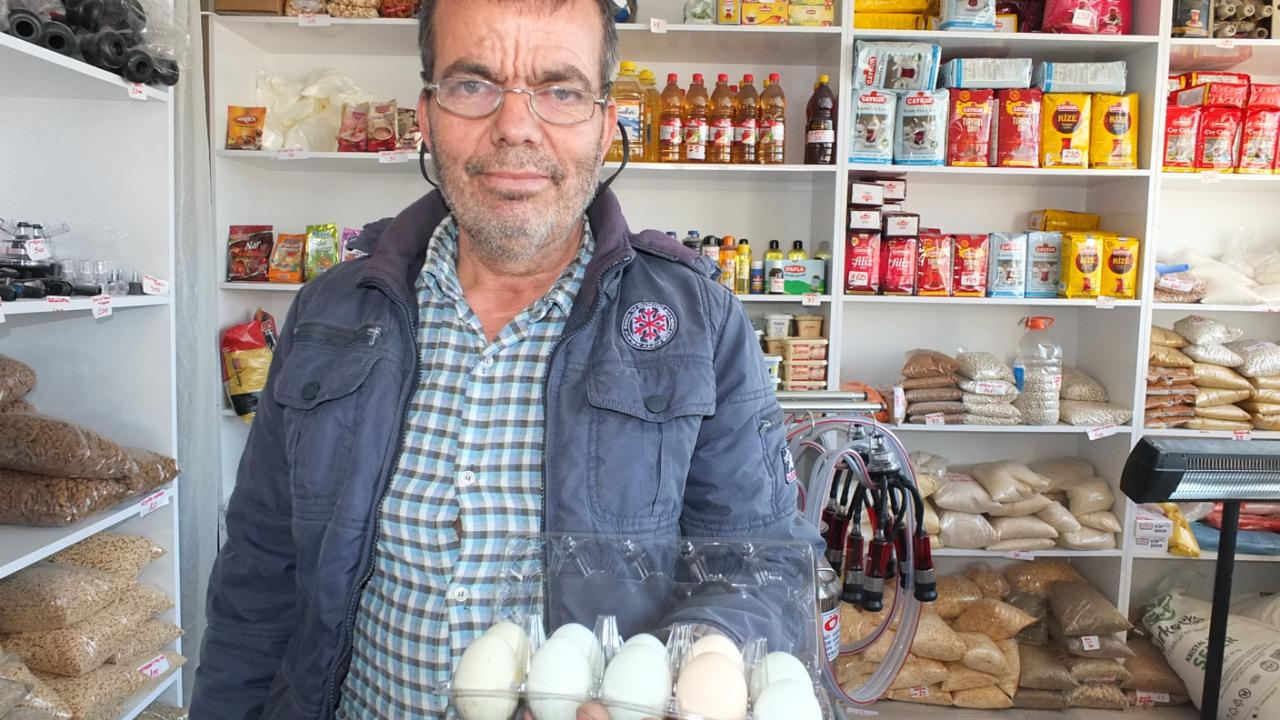 Burhaniye’de mavi yumurtalar ilgi gördü