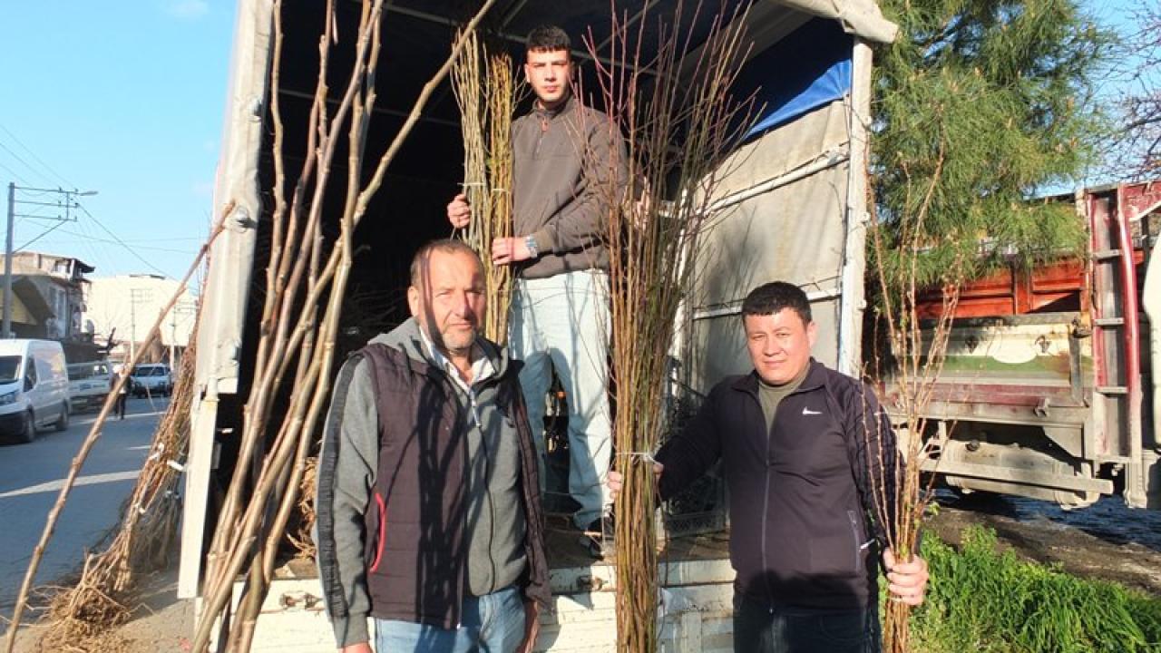 Burhaniye'de sertifikalı fidana ilgi büyük oldu