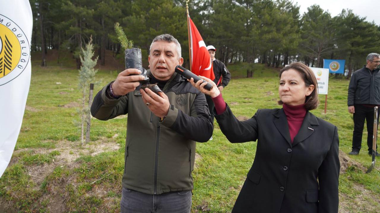 Edremit’te geleceğe nefes: Yüzlerce fidan toprakla buluştu