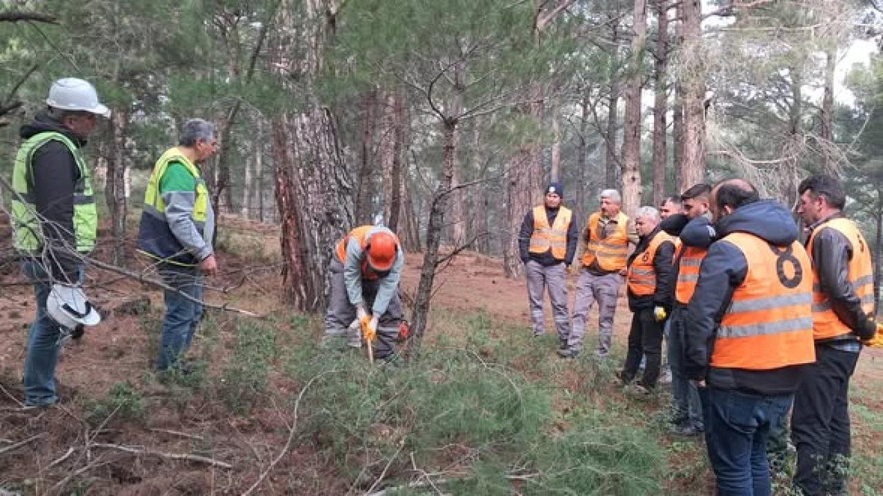 Edremit’te Orman İşçileri Kazdağlarında sınava girdi